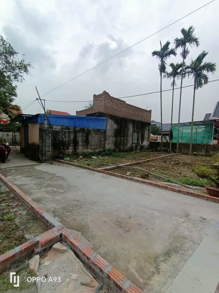 Đất nền F0 An Dương, Hải Phòng - 50m², Kinh doanh/Đầu tư đỉnh cao!