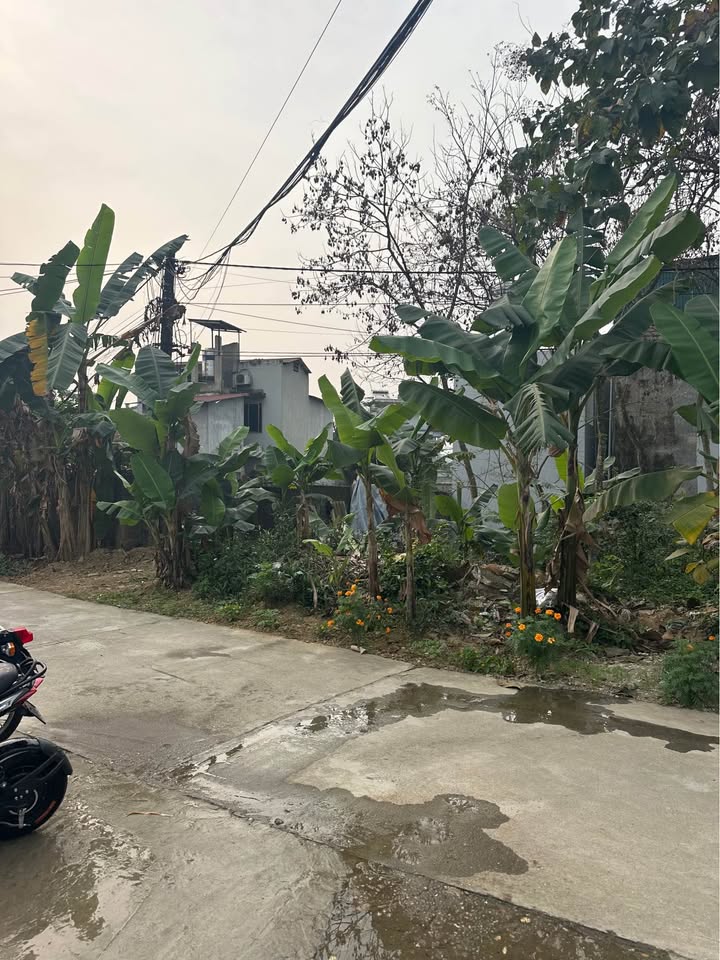 Bán Đất Tổ 11 Ỷ La - 68m² Full Thổ Cư - Giá 1 Tỷ Thương Lượng