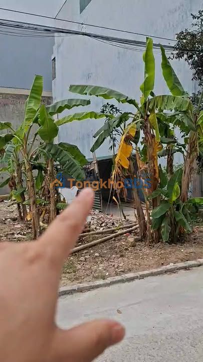 Đất nền Trục chính Đông Phát, Gò Vấp - 64m² - 4 tỷ xx - Hướng Bắc