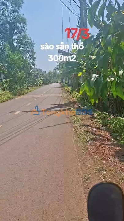 Bán Đất Mặt Tiền Nhựa 300m² Sổ Đỏ Tại Phú Nhuận - Vị Trí Đắc Địa