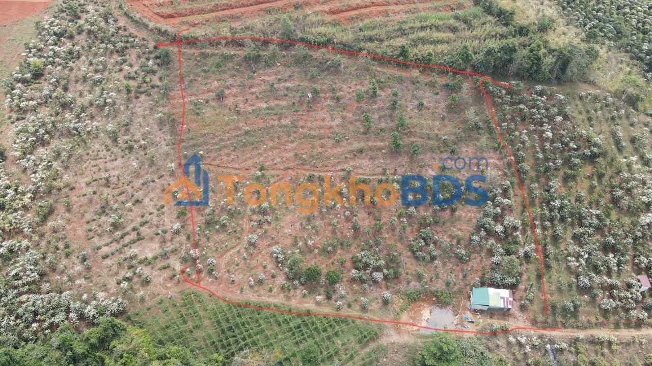 Bán Gấp Đất Vườn 25200m² Lộc Bảo, Bảo Lâm - Giá Chỉ 700 Triệu