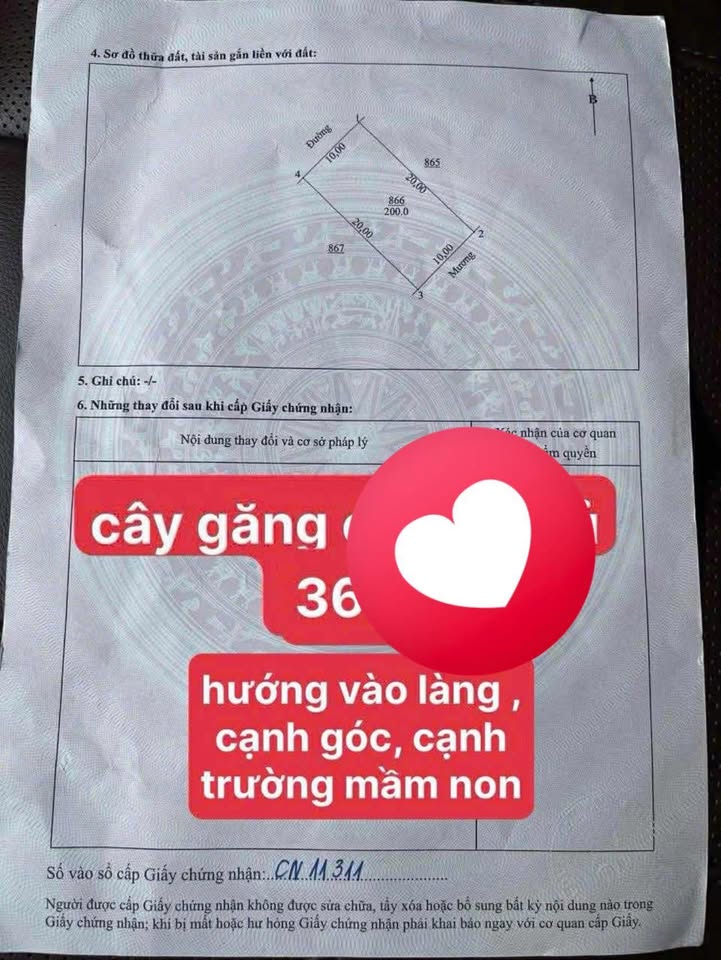 Đất Nền Hưng Nguyên 200m² - Sổ Đỏ Sẵn Sàng - Lô Đẹp Vùng Cây Găng