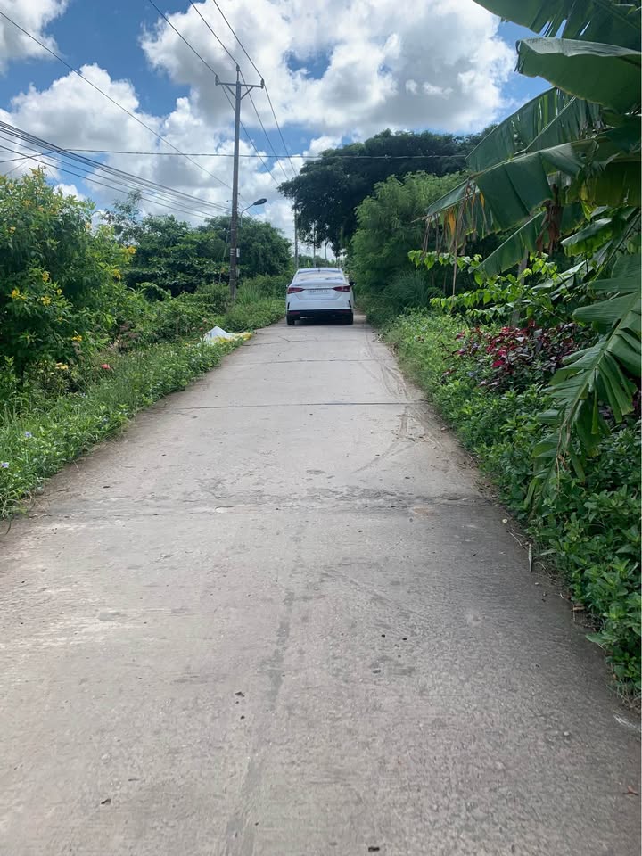 Đất Mặt Tiền Đường Bê Tông Mỹ Xuyên, Sóc Trăng - 7150m² Giá Tốt