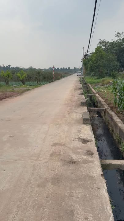 Bán Đất Nền Lô Góc 420m² Xã Sơn Đồng, Hoài Đức - Giá Hời 2.1 Tỷ