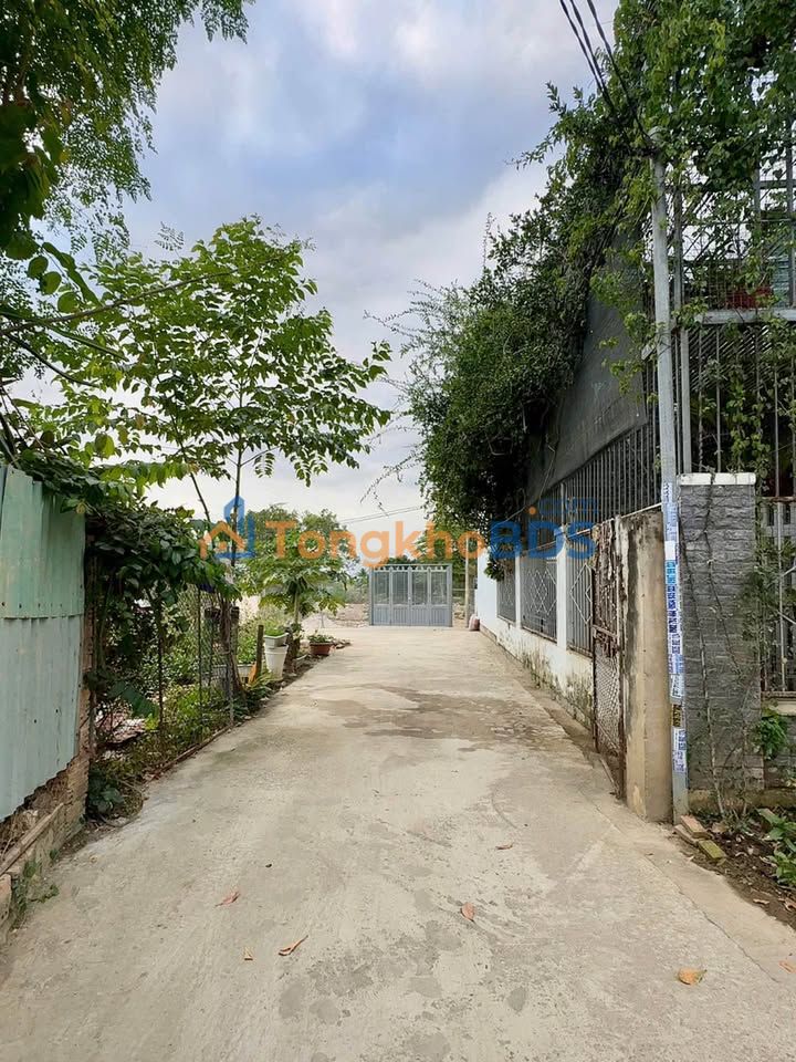 Đất Vàng 97.7m² Sát KĐT Vĩnh Điềm Trung, Nha Trang - Giá Tốt