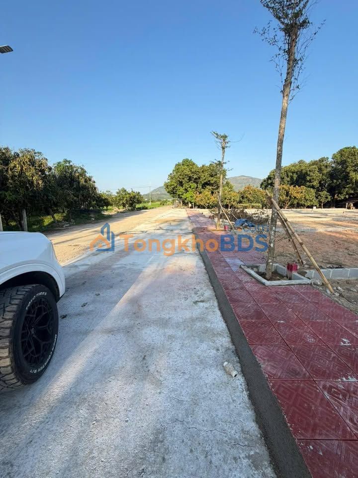 Đất thổ cư Suối Tân Cam Lâm 216m² - Mặt tiền ô tô, giá 6.5 triệu/m²