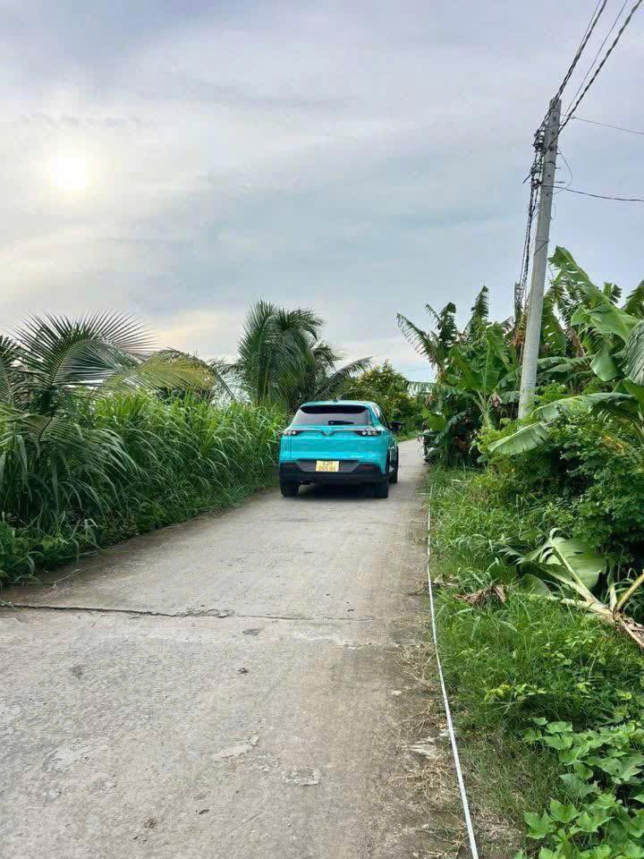 Đất Vườn 317m² Sổ Hồng Chính Chủ Huyện Châu Thành, Long An - Giá 650 Triệu