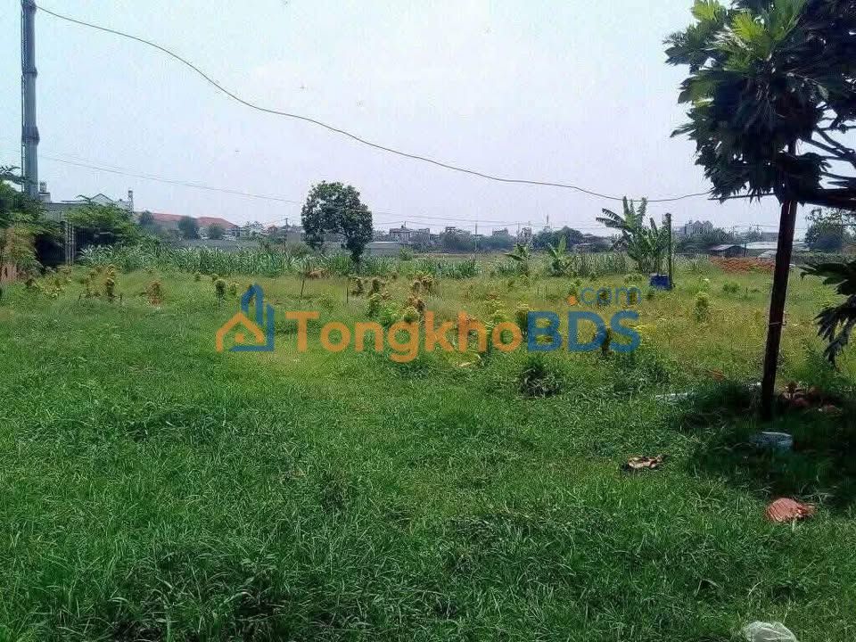 Bán Gấp Đất Hóc Môn 3100m² Sổ Hồng Riêng - Giá Đầu Tư 7 Triệu/m²