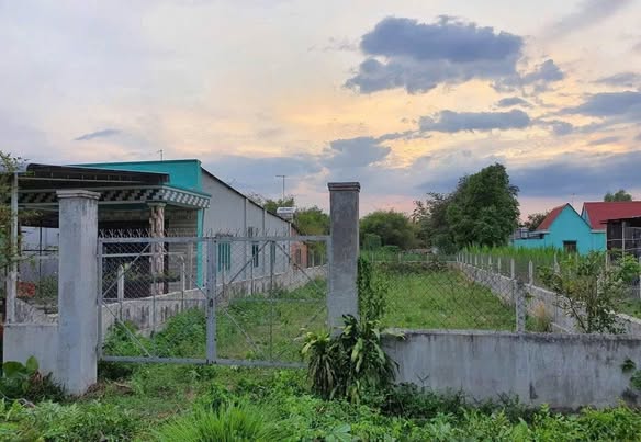 Đất nền Đồng Nai 268m² - Giá 250 Triệu, Sẵn Thổ Cư, Mặt Tiền Đường Lớn