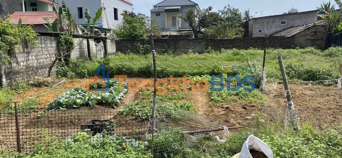 Đất Nền Quảng Phú, Thanh Hóa 125m² - Sổ Đỏ Sẵn Sàng, Giá Đầu Tư 7xx Triệu