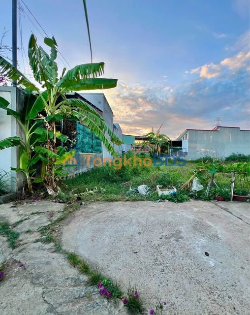 Đất Nền Khu Dân Cư Cá Đồng, Phan Thiết - 124.6m², Giá 780 Triệu