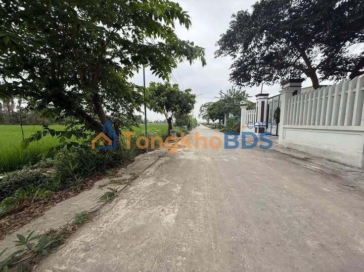 Đất Quảng Định Thanh Hóa 205m2 8xxtr - Đường ô tô