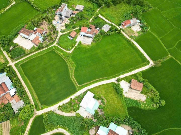 Đất nền Hòa Vang 900m² view đồng lúa - Giá 5 tỷ xxx - Sẵn sàng kinh doanh