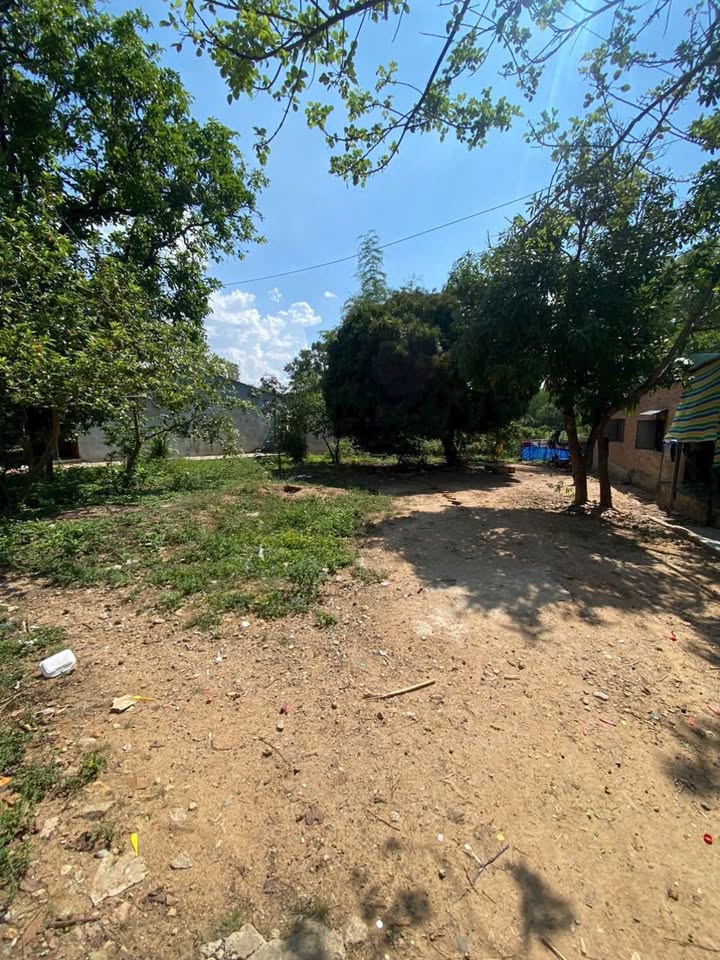 Đất thổ cư 200m² TP Bảo Lộc - Sổ hồng riêng, giá chỉ 3xx triệu