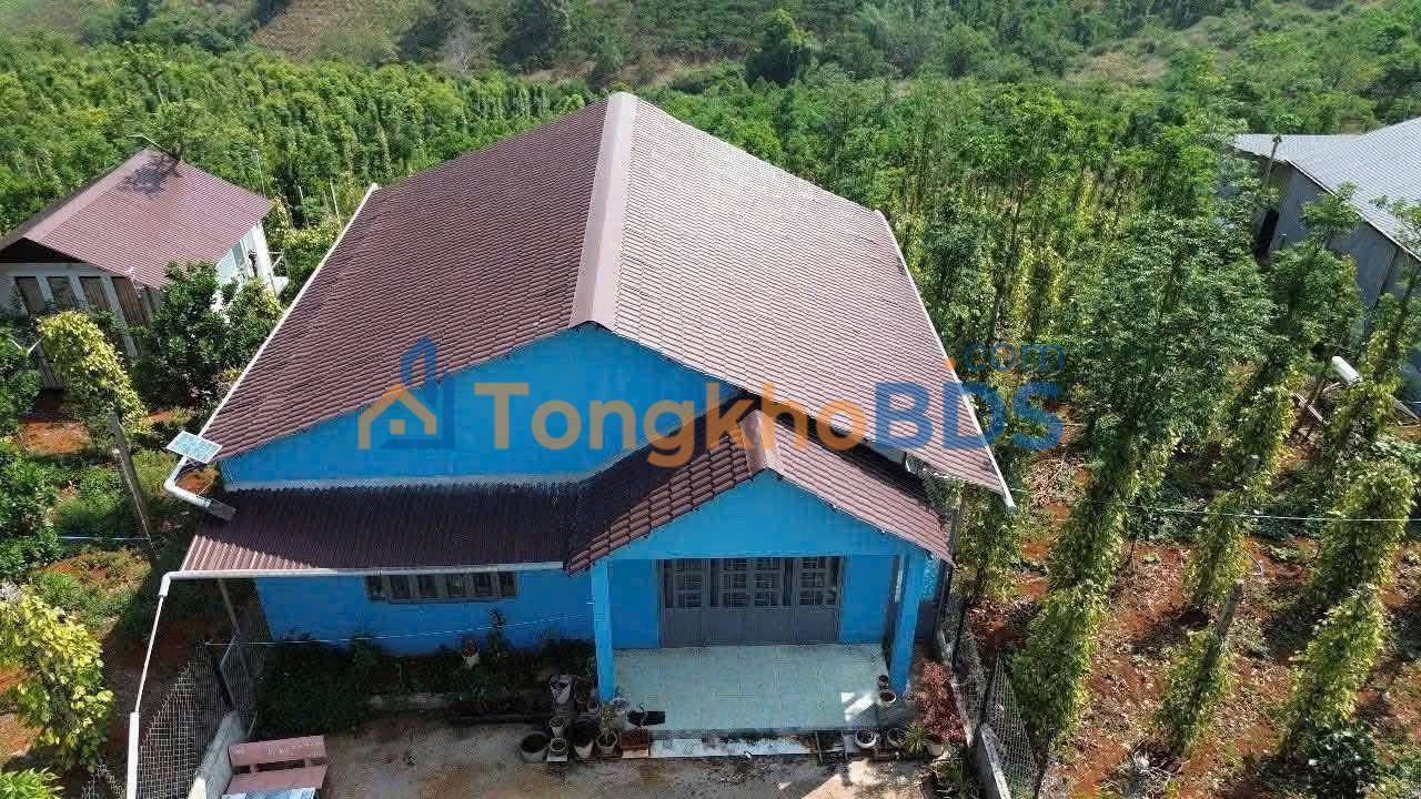 Đất Vườn Đắk Nông 2000m² - Sổ Hồng Sẵn Sàng, Giá Chỉ 949 Triệu