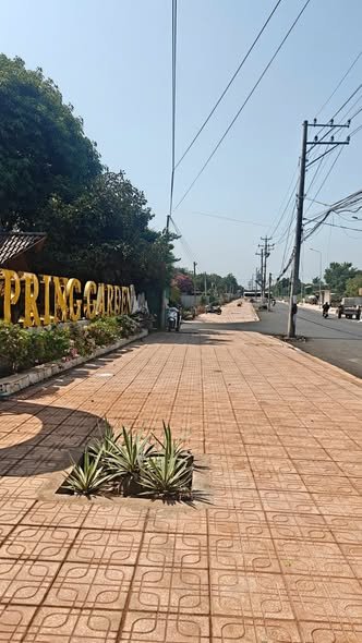 Bán Gấp Đất Nền 970m² Sổ Riêng Mặt Tiền Nhựa - Cần Giuộc