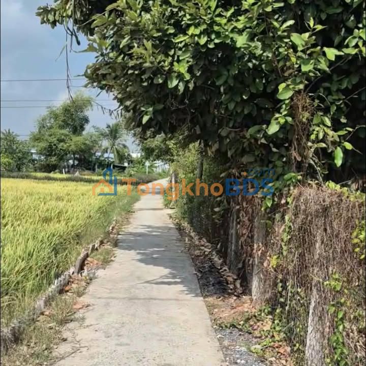 Bán Nền Thổ Cư 585m² Gò Công Đông - Sổ Hồng Sẵn Sàng