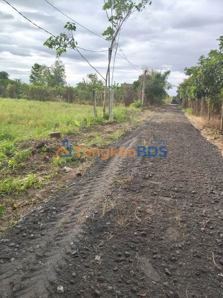 Bán Đất Vườn Tây Ninh 2500m² - Sổ Hồng Riêng, Giá 900 Triệu