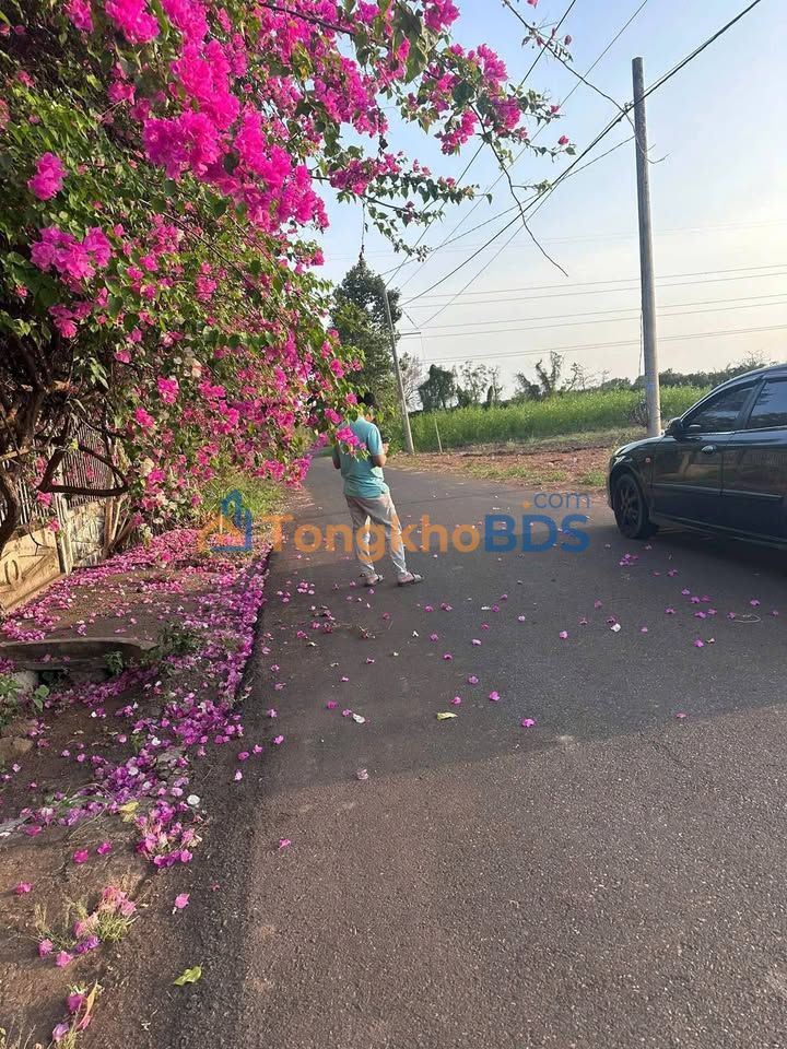 Đất Mặt Tiền Đường Nhựa 80m² Xã Đá Bạc, Châu Đức - Giá 650 Triệu