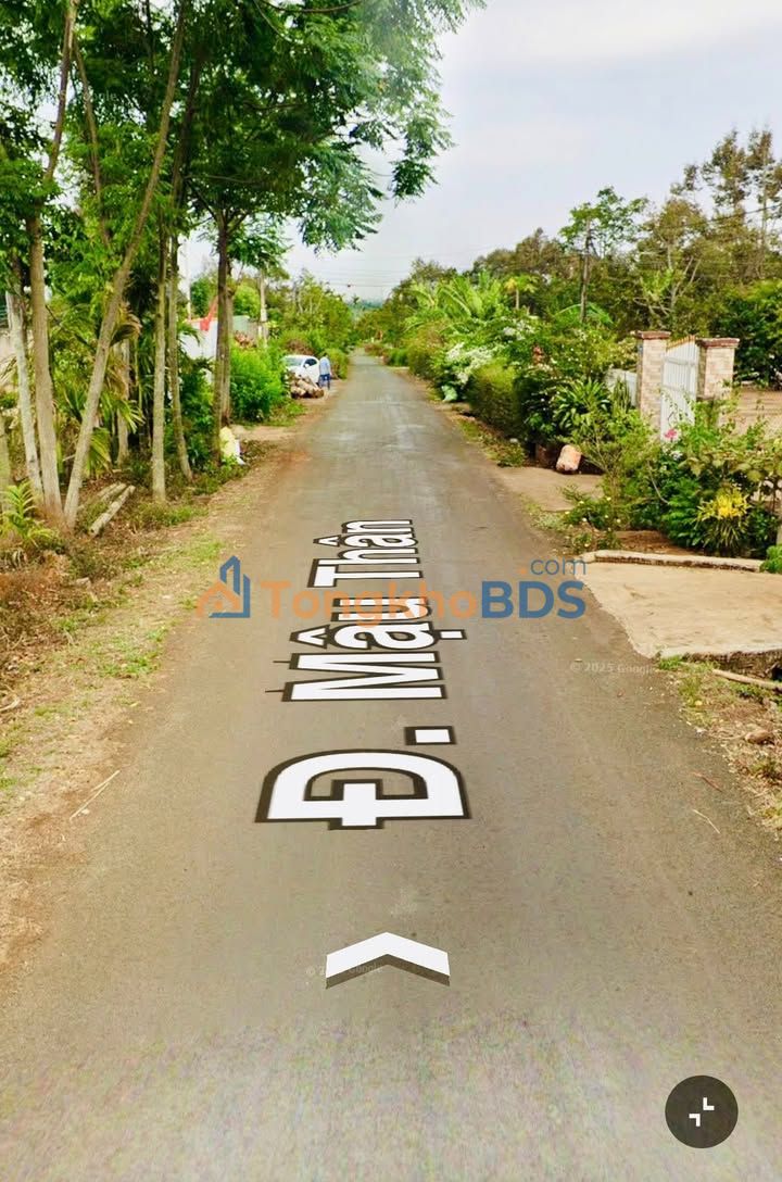 Bán Gấp Lô Đất Vườn 1205m2 Hẻm Mậu Thân, TP.HCM - Sẵn Sàng Vào Ở!