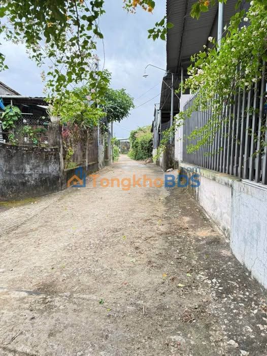 Đất Nền Tuy Phước 155m² Full Thổ Cư - Giá Tốt Đầu Tư