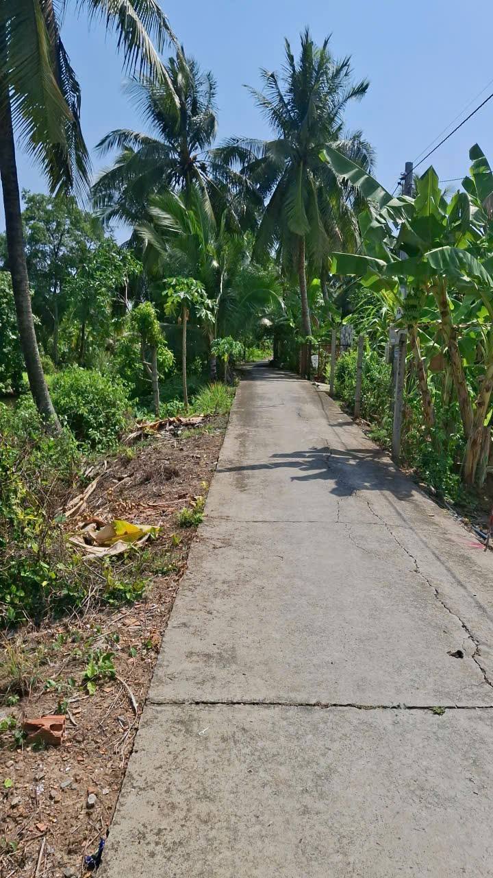 Đất nền mặt tiền Kênh Dây Thép, Cai Lậy - 1.5 tỷ, 205m² thổ cư, view kênh đẹp