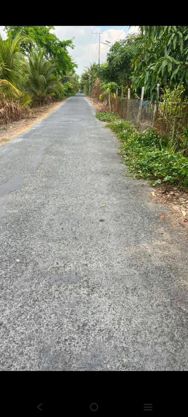 Bán Nền Mặt Tiền Hậu Thành Cái Bè - Tiềm Năng Sinh Lời Cao