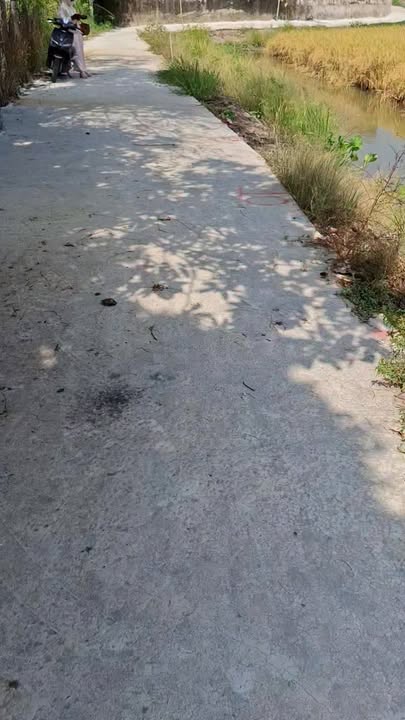 Bán Đất Mặt Tiền Đường Xe Hơi, 200m² Full Thổ Cư Tại Cai Lậy, Tiền Giang - Giá 450 Triệu