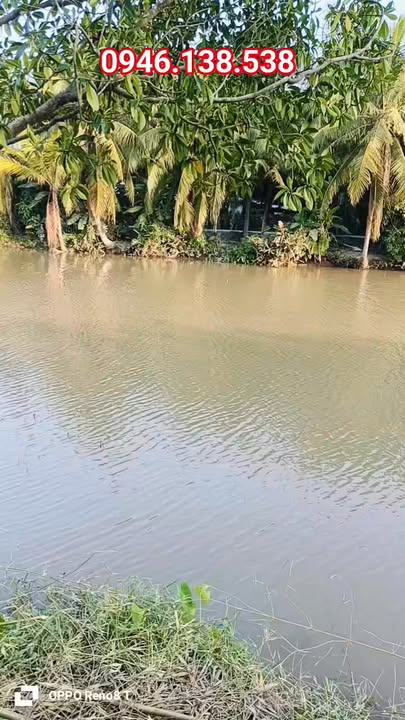 Đất Thổ Cư View Sông 130m² Giá 7xx Triệu - Bình Ninh, Tiền Giang