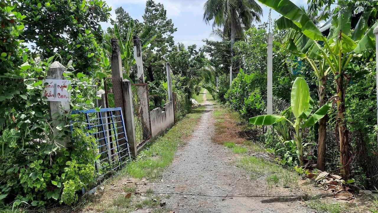 Bán Đất Mặt Tiền Long Khánh TX Cai Lậy - 615m² - Giá Đầu Tư 1.15 Tỷ