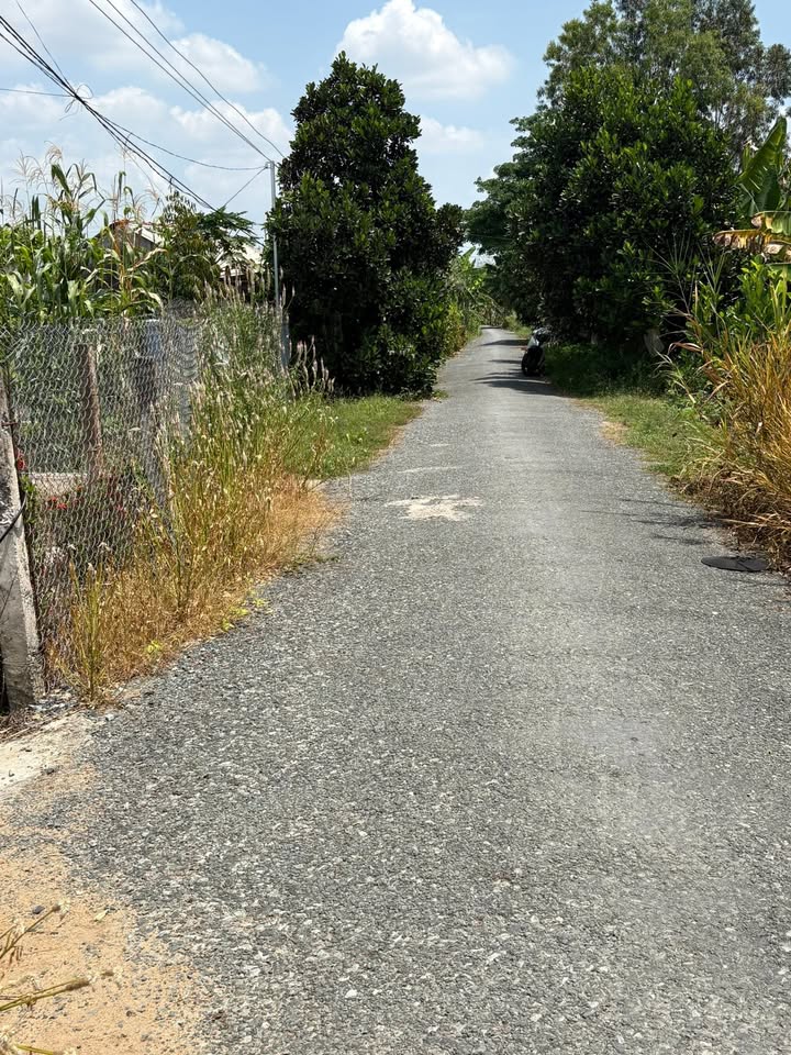 Đất nền Mỹ Hạnh Trung Cai Lậy - Mặt tiền đường nhựa 189m² - 480 triệu