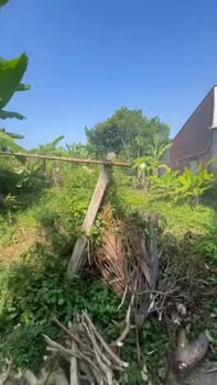 Bán Nền 35m² Thổ Cư, Nở Hậu 5m - TX Cai Lậy, Tiền Giang Giá 520 Triệu