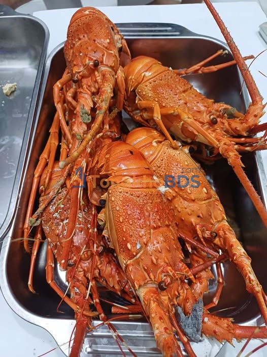 Nhà Mặt Tiền Trần Bình Trọng Bình Phước 18m² - Kinh Doanh Sầm Uất