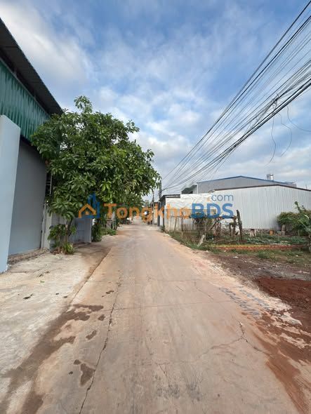 Đất Nền Tân Lợi, Buôn Ma Thuột - 115m² Thổ Cư, Giá Đầu Tư 3.29 Tỷ