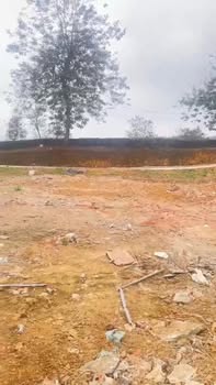 Đất Nền Thục Luyện, Thanh Sơn: 1800m² Full Thổ Cư, Giá 2 Tỷ