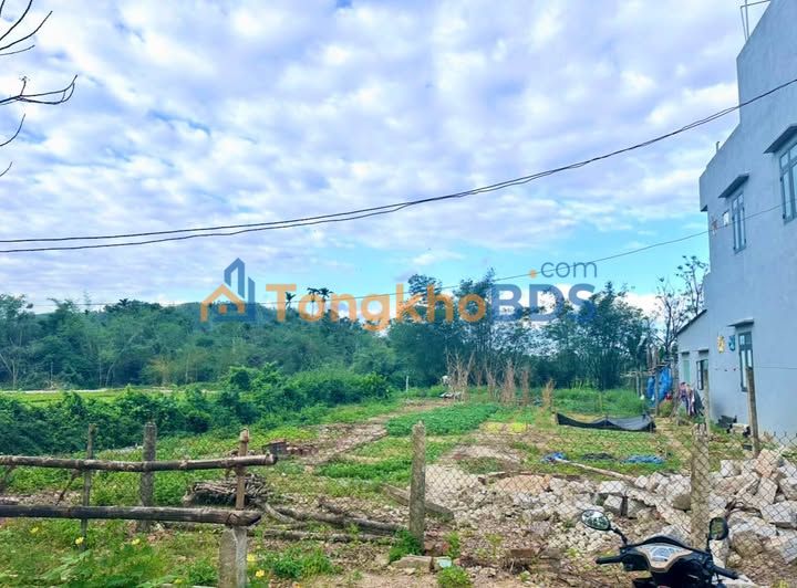 Nhà Vườn 871.7m² Chính Chủ Gần QL19 - Giá 4 Tỷ