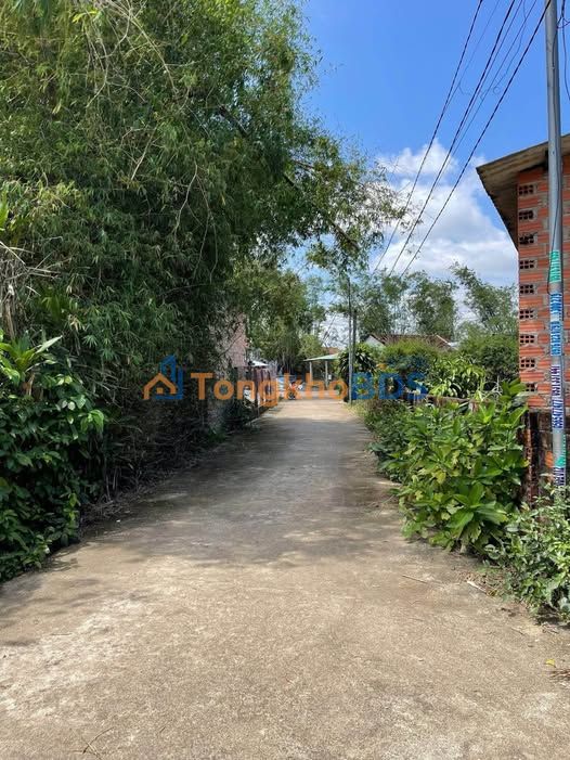 Bán Đất 100m² Đồng Lâm 1, Bình Phước - Full Thổ Cư, Giá Chỉ 4xx Triệu