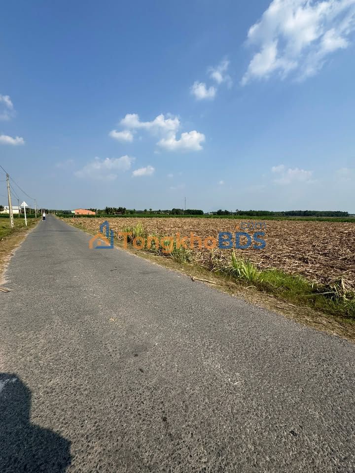 Đất Mặt Tiền Nhựa Thạnh Bình, Tây Ninh - 200m² Giá 190 Triệu