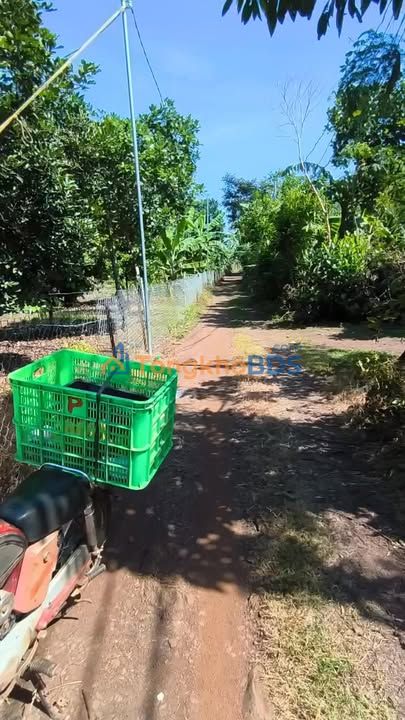 Bán Gấp Vườn Trái Cây 3000m² Phường Bảo Vinh, Long Khánh - Sổ Sẵn
