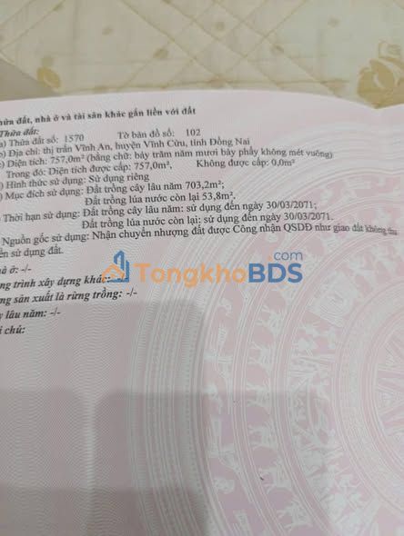 Đất Vĩnh Cửu 700m² - Sổ Riêng Giá Tốt 1.1 Tỷ