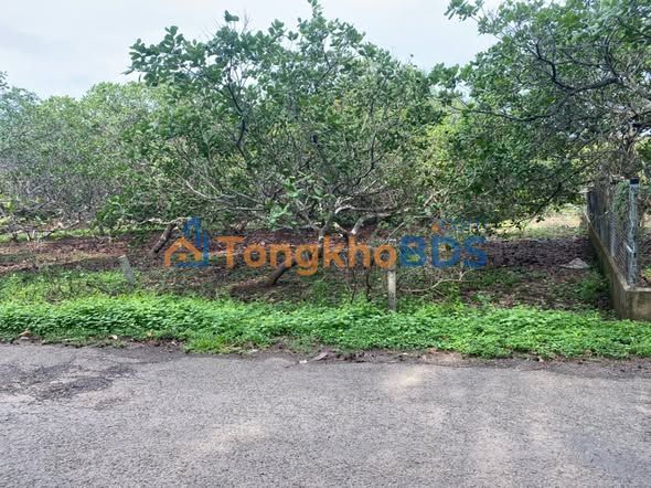 Đất nền Bình An Long Thành 2000m² 8,5 tỷ - Sổ đỏ chính chủ