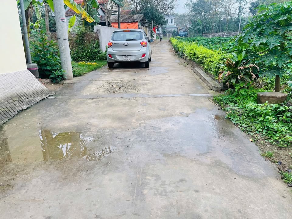 Đất Vĩnh Phúc 127m² - Sổ hồng sẵn, ô tô vào tận nhà