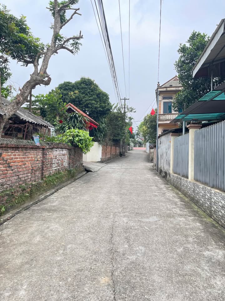 Đất nền Khu Phú Thịnh Thụy Vân 90m² giá 1 tỷ - Đầu tư sinh lời hấp dẫn!