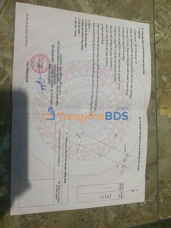 Đất Vĩnh Phúc - 113m² Làng Mấu, Tam Đảo - Sổ Đỏ Sẵn Sàng Đầu Tư