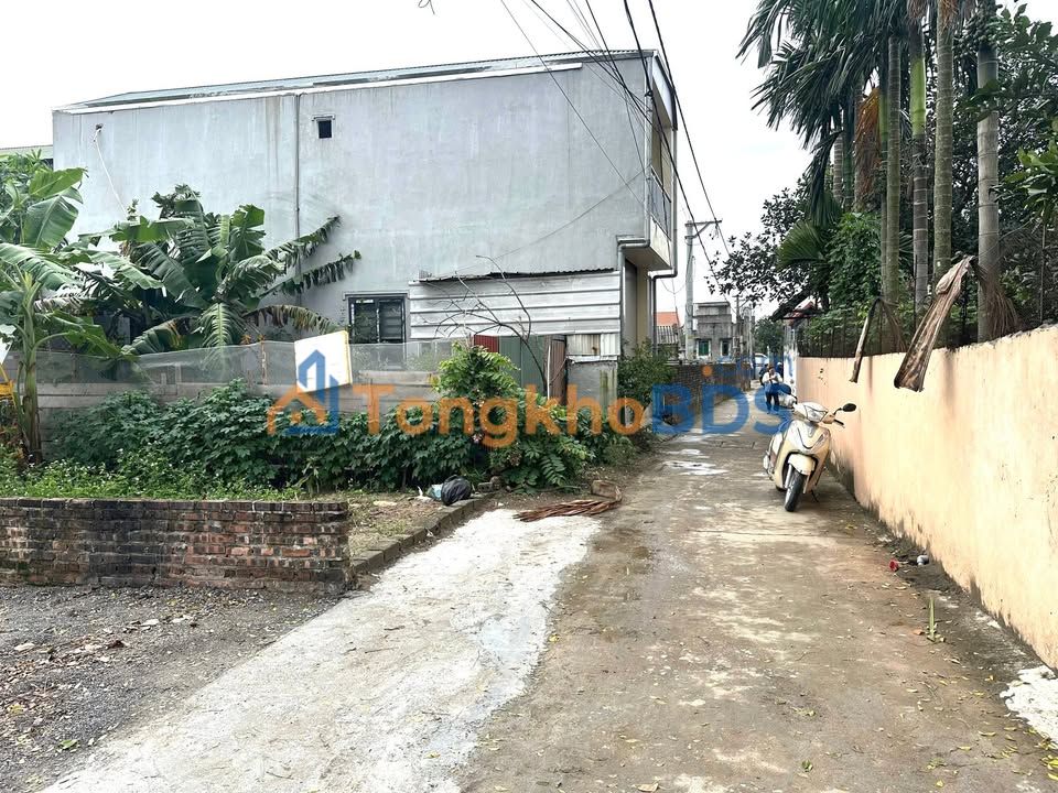 Bán Đất Xã Tự Nhiên, Thường Tín 84m² - Sổ Đỏ Sẵn, Ô Tô Tránh Nhau