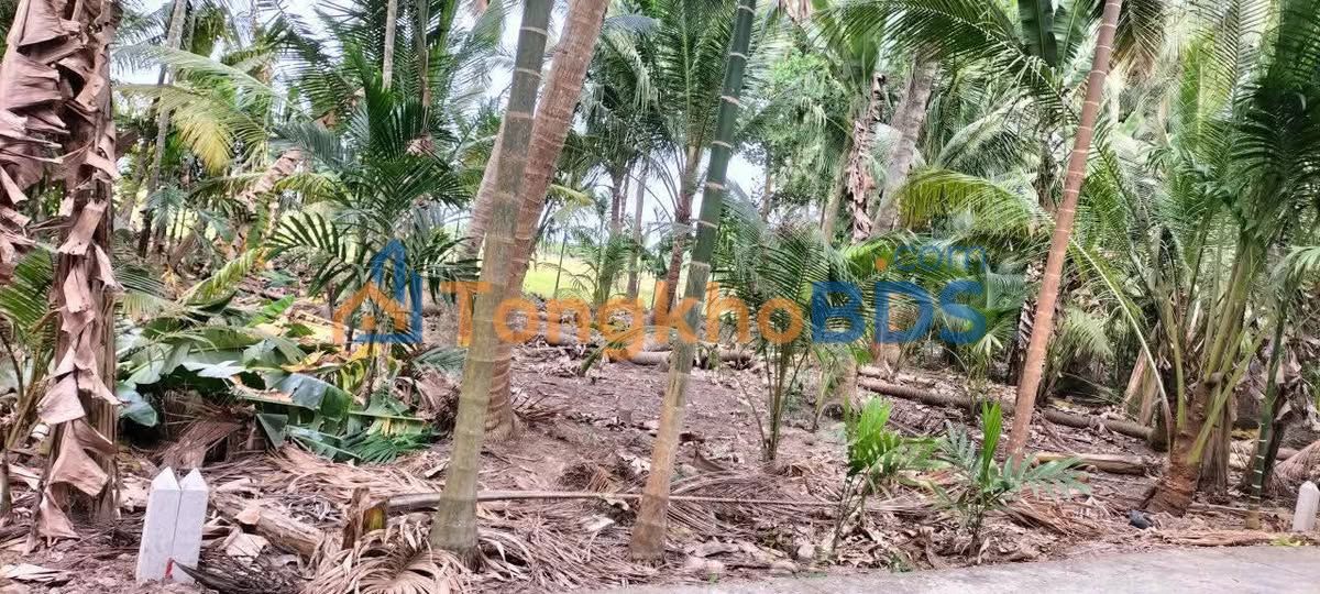 Đất nền Long Đức Long Phú 620m² 0.3 tỷ - Sổ đỏ chính chủ