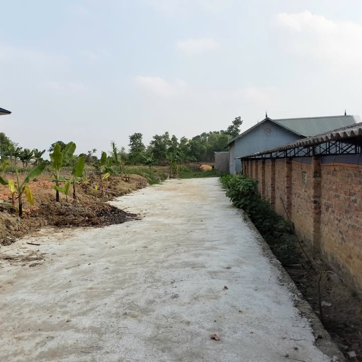 Đất Vĩnh Phúc 256m² - Sổ đỏ chính chủ, đường Dục Lịch Hướng Đạo, Tam Dương