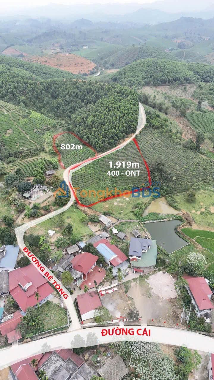 Đất Vườn Long Cốc 1900m² Sổ Đỏ - Đầu Tư Sinh Lời Hấp Dẫn