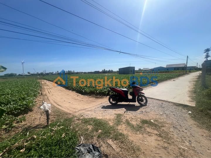 Đất nền Sóc Trăng Phường 1 1.000m² 450 triệu - Đường to ô tô