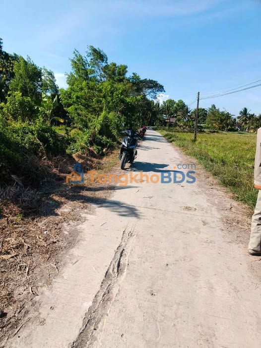 Đất nền Tài Văn Sóc Trăng 1000m² 350 triệu - Sổ đỏ